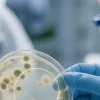 GENEGLOW's 6-stage quality control testing center conducting microbial challenge tests and formula stability testing to ensure clinical safety and compliance.